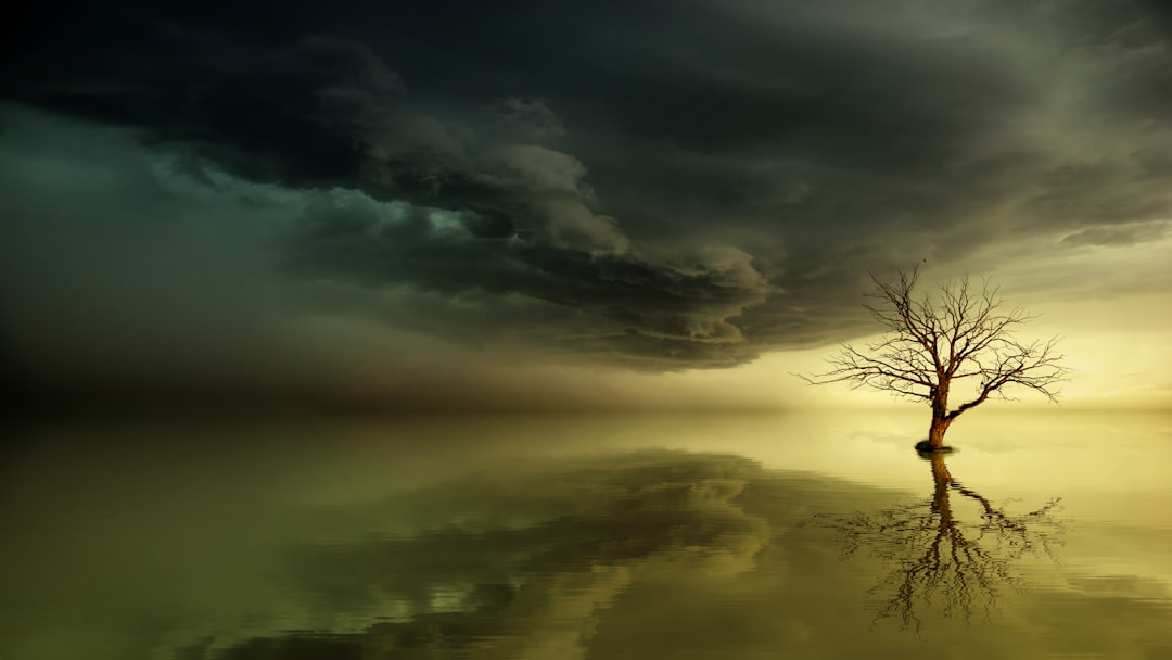 Appelboom snoeien geeft gezonde groei en veel appels